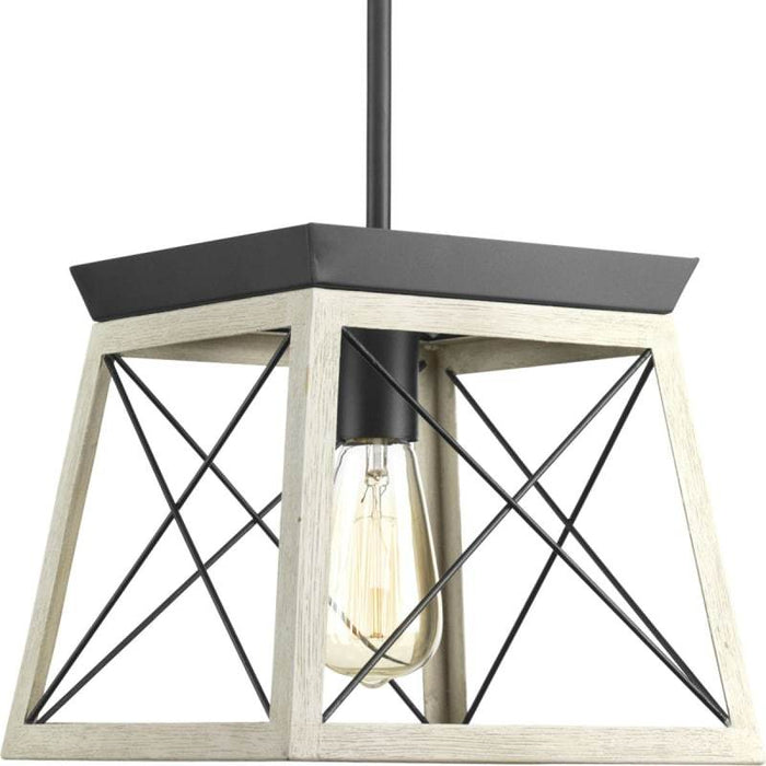Progress Lighting Briarwood Collection 1-Light Graphite Pendant by Vanessa Jane