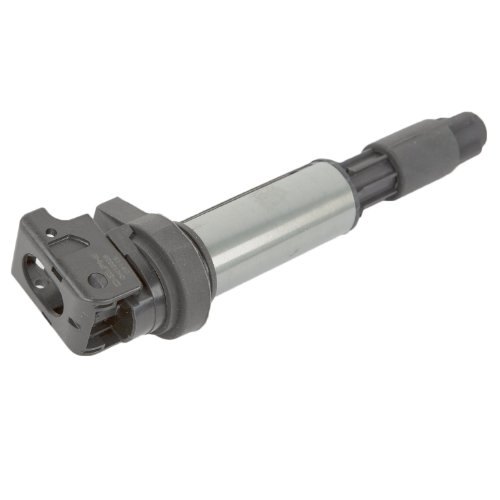 Delphi GN10328 Ignition Coil by Vanessa Jane