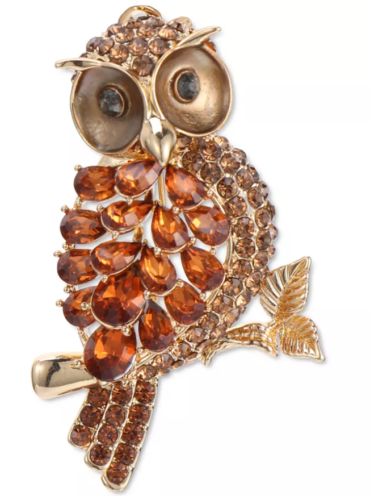 Charter Club Gold-Tone Crystal and Stone Owl Pin by Vanessa Jane