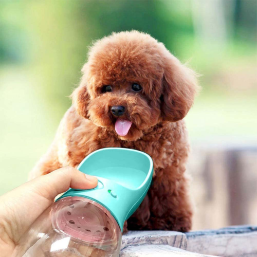 MalsiPree Dog Water Bottle, Leak Proof Portable Puppy Water Dispenser With Drink by Vanessa Jane