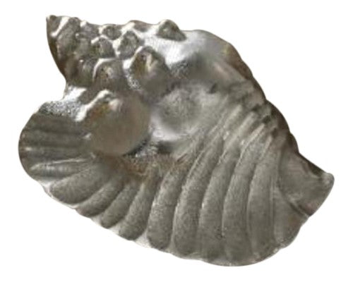 Polished Aluminum Conch Shell Tabletop Coffee Table Shelf Decor Park Design by Vanessa Jane