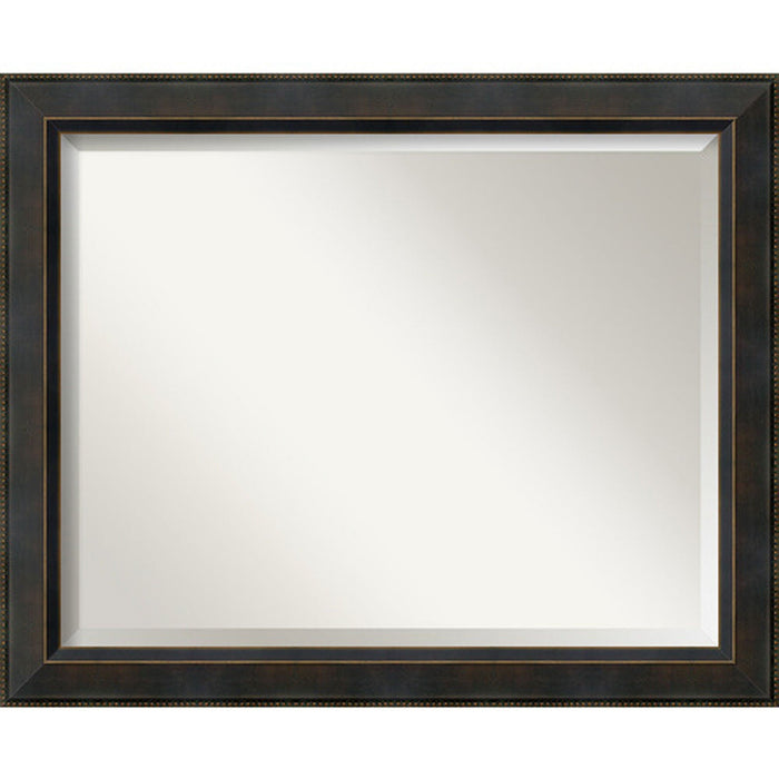 Amanti Art Bronze 32 x 26-Inch Large Vanity Mirror by Vanessa Jane
