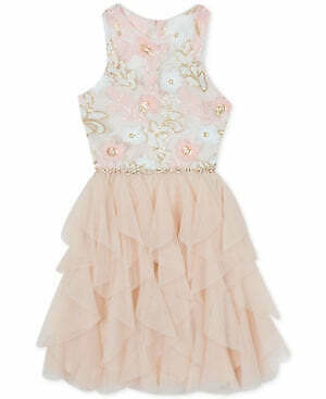 Rare Editions Big Girls Plus-Size Sequin Embroidered Dress by Vanessa Jane