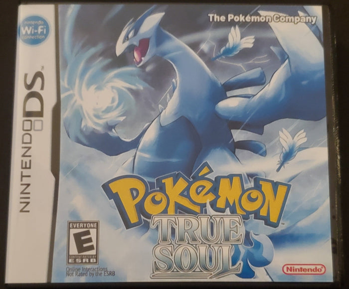 Pokemon True Soul NDS Nintendo DS Custom ROM Hack Video Game Cartridge by VintageVideoGameStore