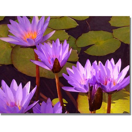 Trademark Fine Art Water Lilies Canvas Wall Art by Amy Vangsgard by Vanessa Jane