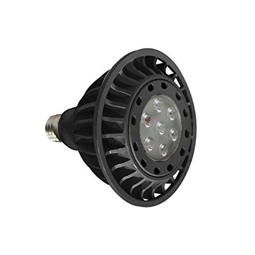 WAC Lighting PAR38LED-17N30-BK LED Par38 Lamp 3000K 30-Degree 120V Light by Vanessa Jane