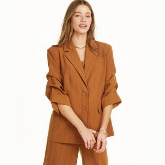 Danielle Bernstein Pinstripe Blazer with Ruched Sleeves, Size Large by Vanessa Jane