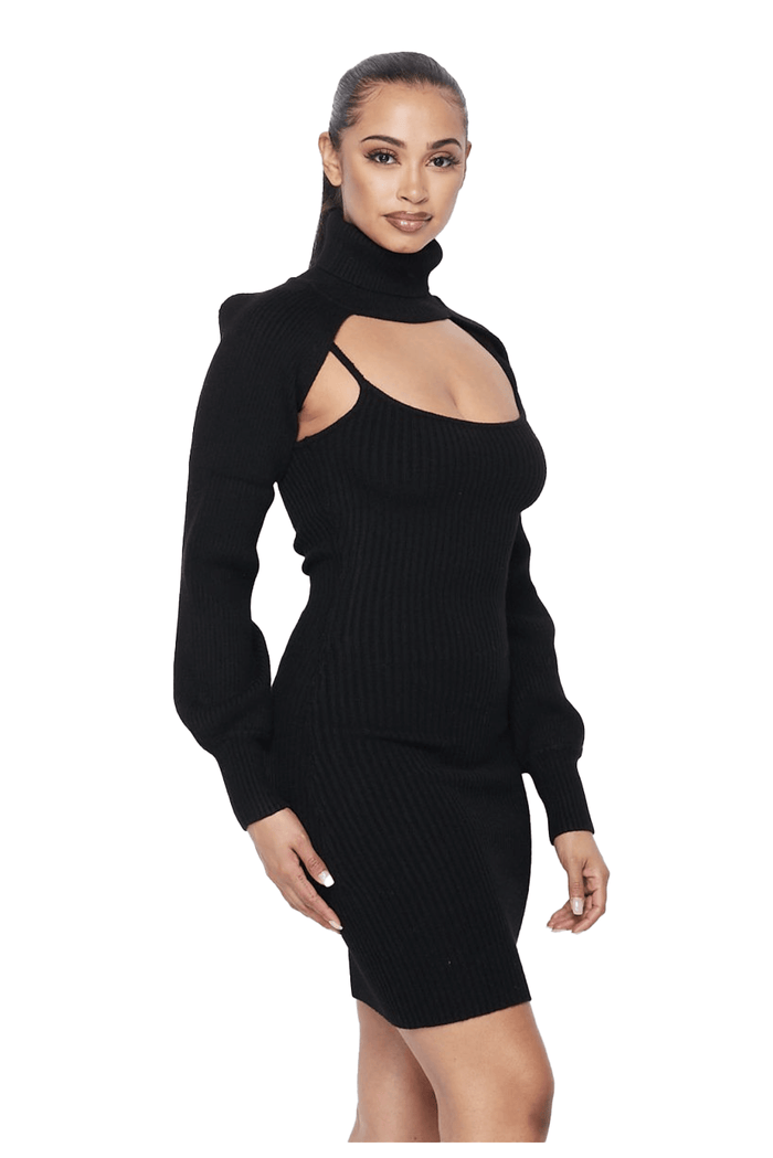2 PC Knit Tank Dress with Sleeve Only Turtleneck Top by The House of Stylez