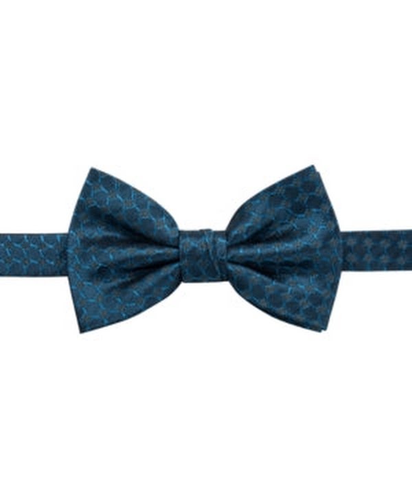 Ryan Seacrest Distinction Mens Boysen Pre-Tied Silk Bow Tie by Vanessa Jane