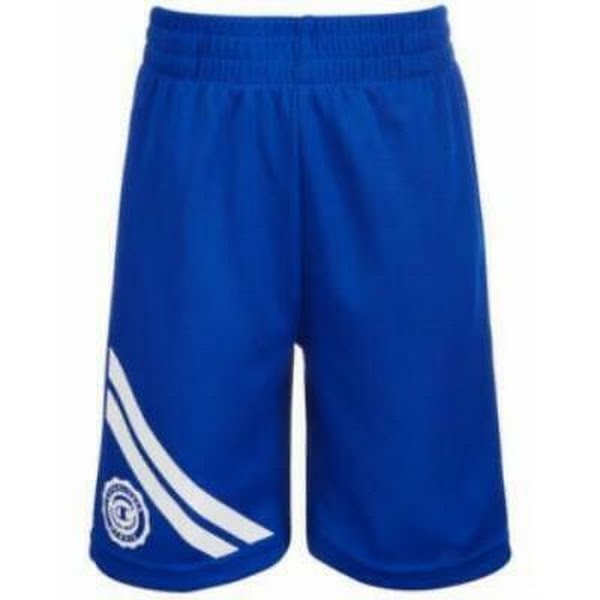 Champion Little Boys Crest Shorts, Size 4 by Vanessa Jane
