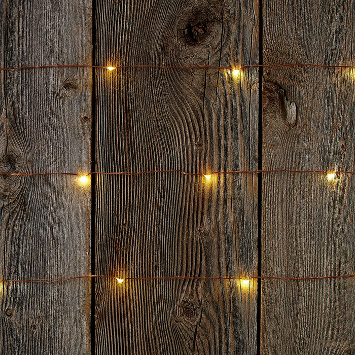 Signature Battery Operated LED Lights on Copper Wire, Cool White by Vanessa Jane