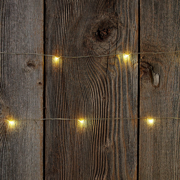 Tiny Lites Battery Operated Silver Wire Indoor LED Light String, Warm White, 4-F by Vanessa Jane