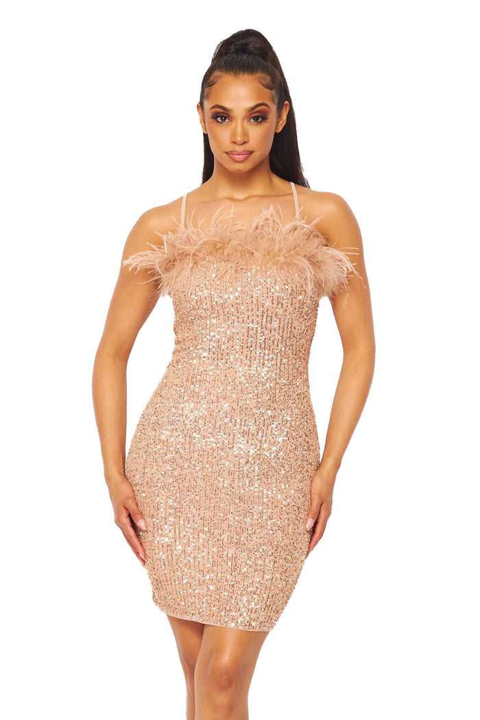 Feather & Sequin Dress by The House of Stylez