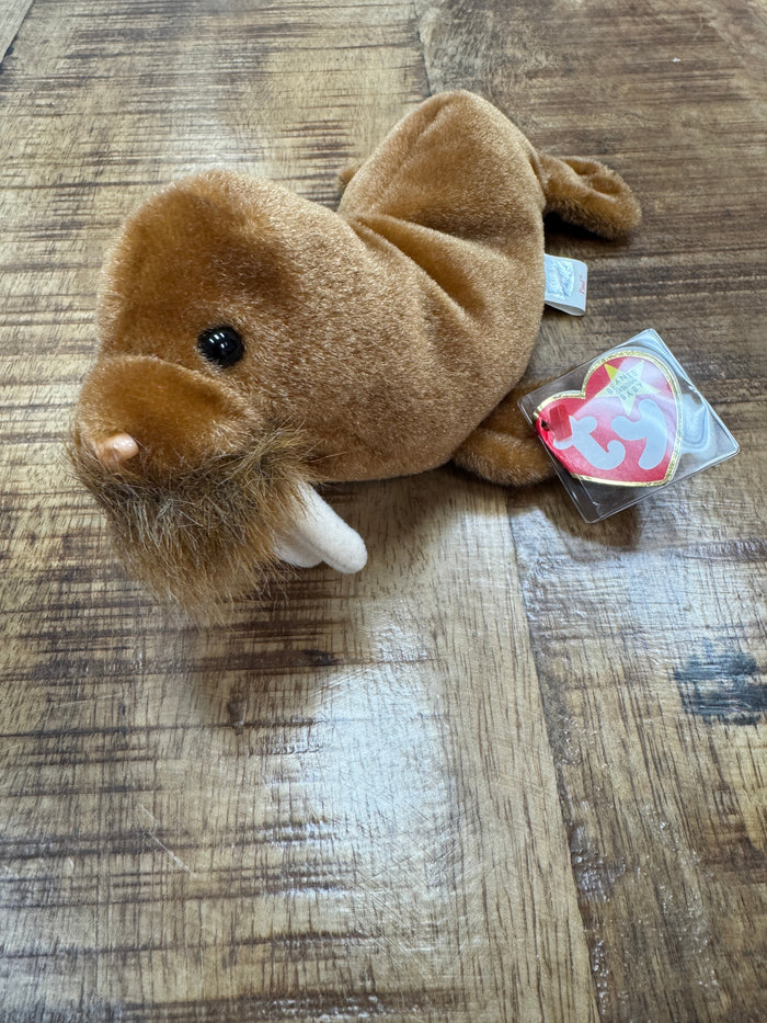 Ty Beanie Baby Paul the Walrus Plush With Multi Errors by Vanessa Jane