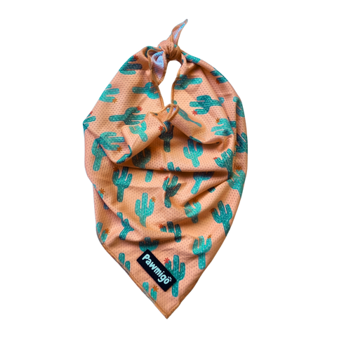 Succa For You Cooling Bandana by Pawmigo