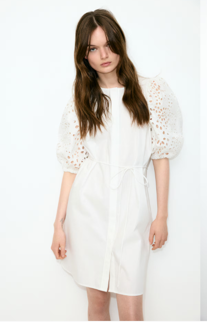 HandM Dress with Eyelet-Embroidered Sleeves, Medium by Vanessa Jane