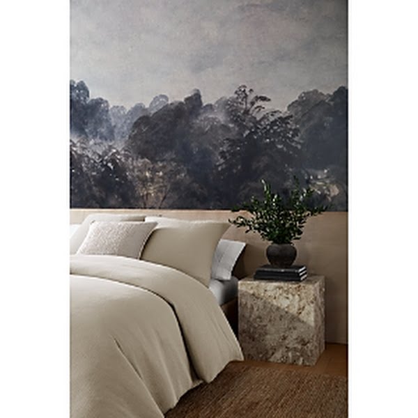 Nate Home by Nate Berkus Pin Dot Matelasse Euro Sham, 26X26 by Vanessa Jane