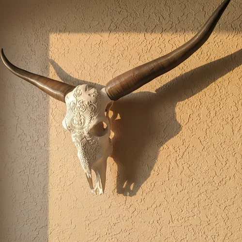 ADG42 Decorative Steer Skull and Horns Western Wall Decor by Active Doodie Gear®