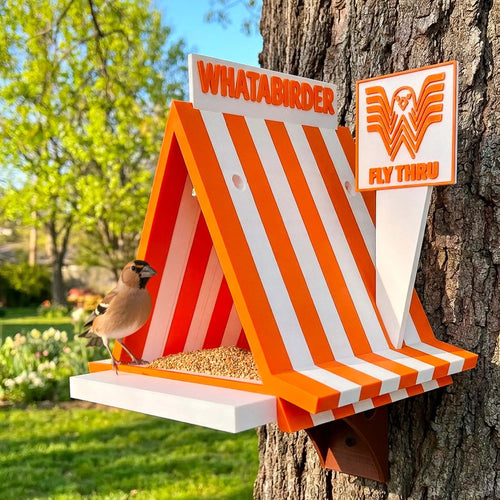 ADG42 The Whatabirder Parody Bird Feeder | Classic or Cafe Style by Active Doodie Gear®