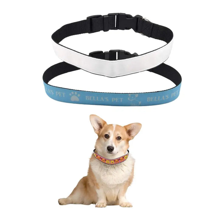 Adjustable Polyester Dog Collar - 6 Sizes by INNOSUB USA