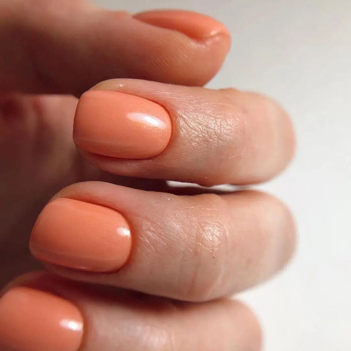 Akzentz Luxio - Discretion by The Nail Hub