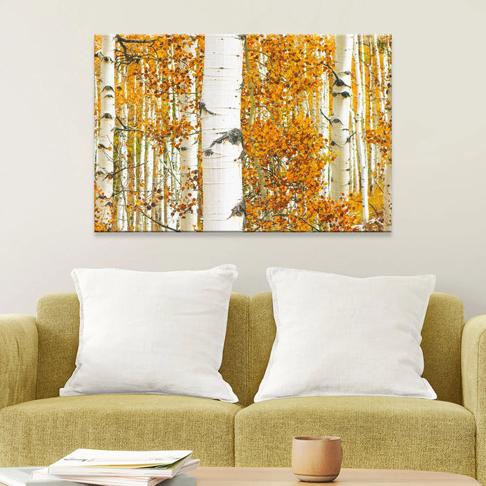 Autumn Tree Barks Canvas Wall Art by Tailored Canvases