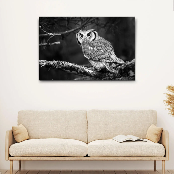 Black And White Owl Canvas Wall Art by Tailored Canvases