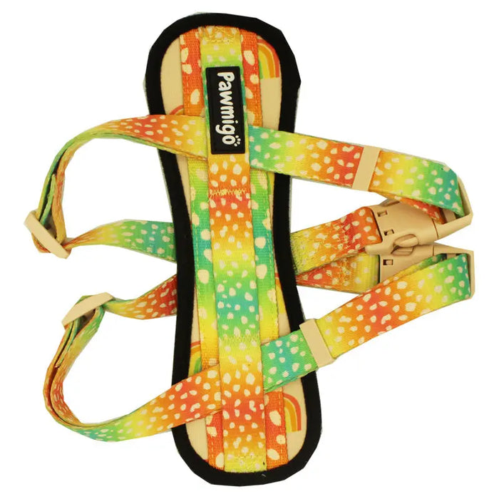 Chasing Rainbows X-Fit Harness by Pawmigo
