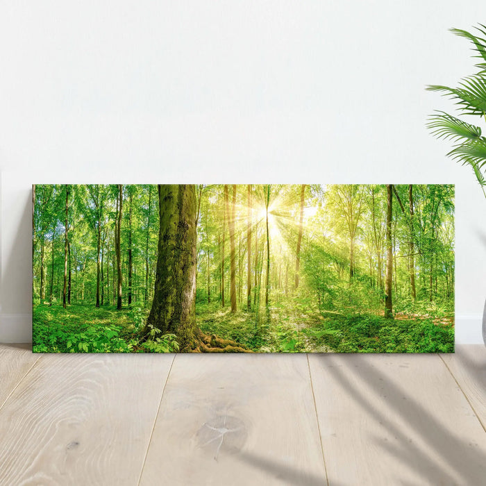 Golden Rays Into The Forest Canvas Wall Art by Tailored Canvases