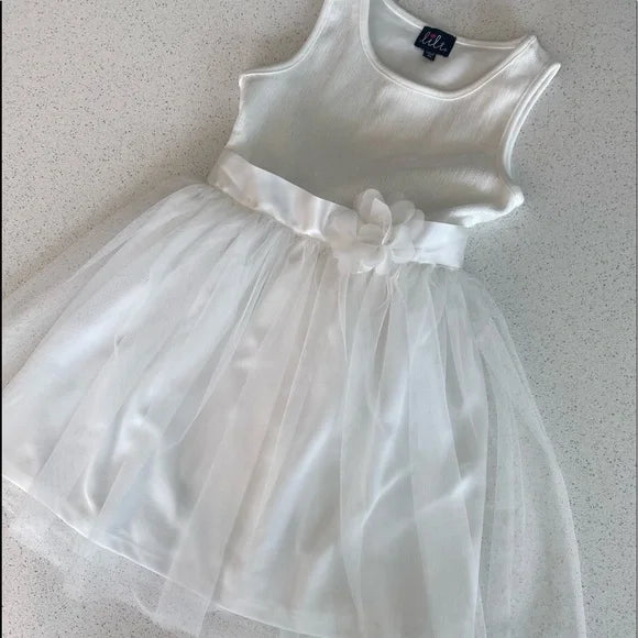 lilt Little Girls Embroidered Dot Mesh Dress, Ivory Size 4 by Vanessa Jane