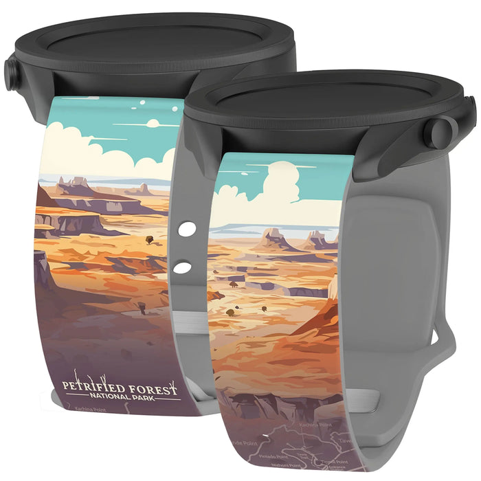National Parks Petrified Forest HD Watchband for Samsung, Garmin, Fossil, and More by Affinity Bands