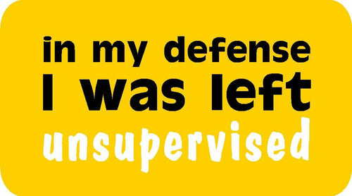 "In My Defense I Was Left Unsupervised" Vinyl Decal Sticker for Car, Lunch Box by Deal US