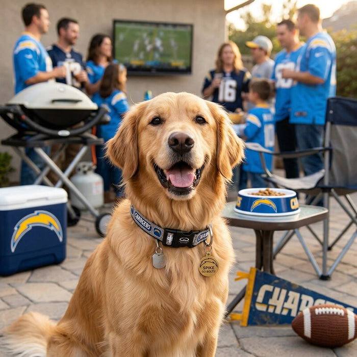 San Diego Chargers Reflective Large Football Collar by Vanessa Jane