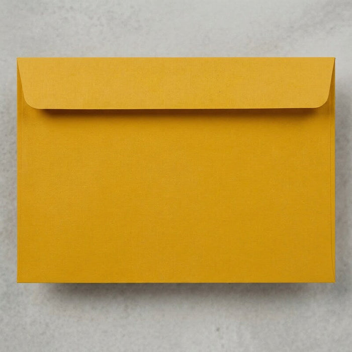 Jam Paper 9X12 envelopes 100 pack by Vanessa Jane