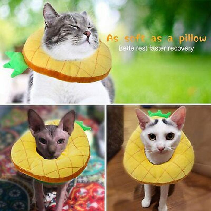 Hylyun Cat/Dog Recovery Collar – Cute Sun Flower Neck Cone by Vanessa Jane