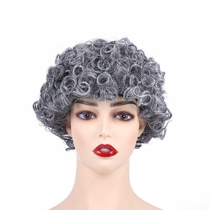 Curly Afro Wigs Synthetic Kinky Curly Wig Short Kinky Curly Wig for Black Women by Vanessa Jane
