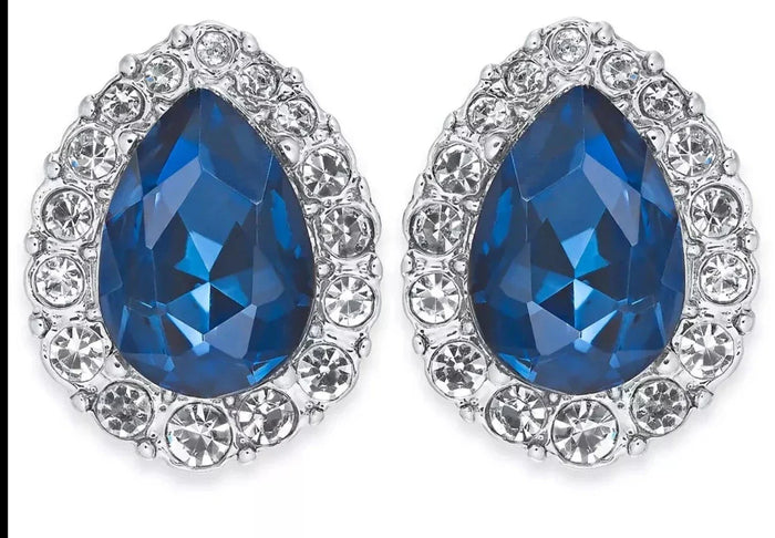 Charter Club Crystal and Stone Earrings, Silver Tone by Vanessa Jane