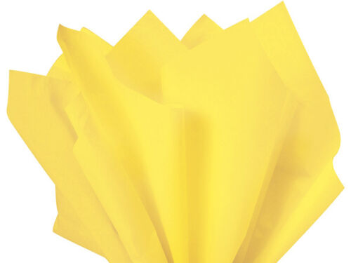 Lot of 7 Bags Of Tissue Paper for Gift Wrapping 20x26 Sheets Eco-Friendly by Vanessa Jane