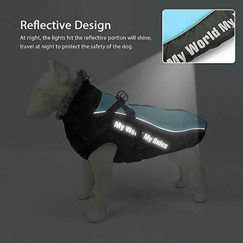 Didog Waterproof Dog Winter Jacket Coat Chest 23” Back 19” 20-30lbs Blue 2XL by Vanessa Jane