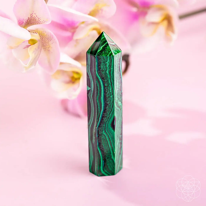 This Changes Everything – Malachite Phoenix Point by Conscious Items