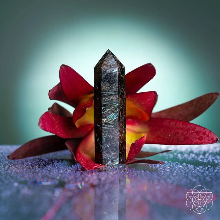This Is Your Breakthrough – Rare Arfvedsonite Point by Conscious Items