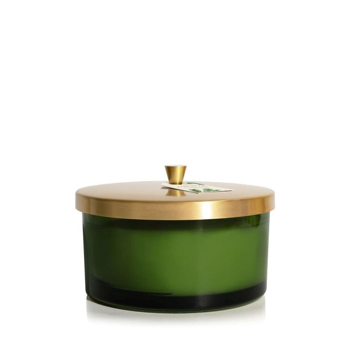 Thymes Frasier Fir Green 4-Wick Candle by Nava Beauty