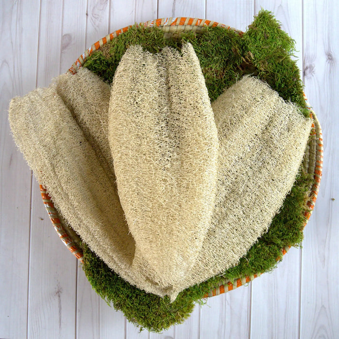 Ugandan Exfoliator Natural Loofah (Ekyangwe) by Duma Mbili LLC