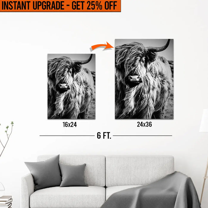 Upgrade Your 24x16 Inches 'Black And White Highland Cow Portrait' Canvas To 36x24 Inches by Tailored Canvases