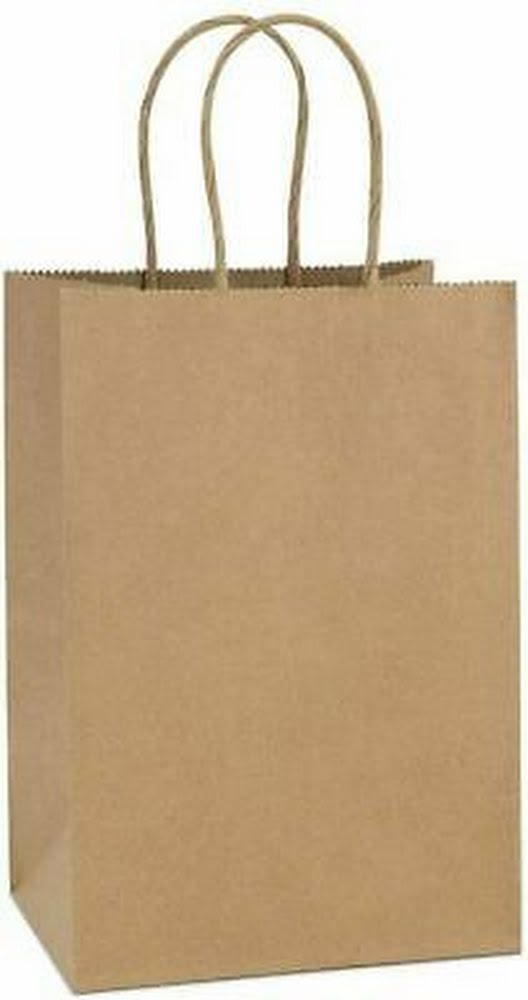 Pack of 100 Kraft Paper Shopping Bags - 8 x 4 1/2 x 10 1/4 by Vanessa Jane