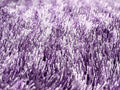 DaDa Bedding Shaggy Soft Door Mat Carpet Rug - 20" x 32" Striped Shiny Purple Lavender by DaDalogy Bedding Collection