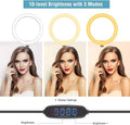 10" LED Ring Light, Selfie Ring Light with Stand and Phone Holder, 11 Brightness Levels (Refurbished) by DailySale