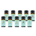 10-Pack: Fruity Fragrance Premium Aromatherapy Diffuser Oils Set For Candle & Soap Making by DailySale