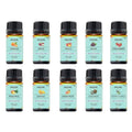 10-Pack: Fruity Fragrance Premium Aromatherapy Diffuser Oils Set For Candle & Soap Making by DailySale