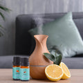 10-Pack: Fruity Fragrance Premium Aromatherapy Diffuser Oils Set For Candle & Soap Making by DailySale